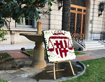 asilo y protecc intl